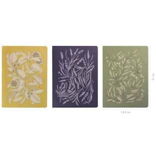 30395-jardin1.png.webp