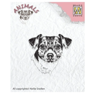 30459-koer-3.png.webp