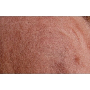 30681-korall-20.png.webp