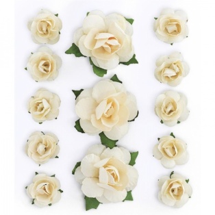 Paper Roses 13pcs, peach