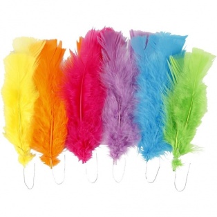 Feathers 11-17cm, assort.colours