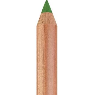 Pastellpliiats Faber-Castell Pitt Pastel 168 Earth Green Yellowish