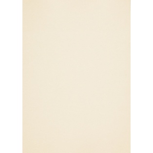 Esinduspaber A4 Metallik/ Europa Ivory 120gr