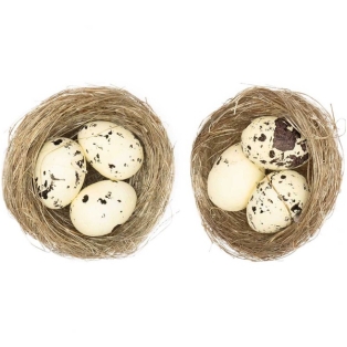 Dekoratsioon linnupesa koos munadega 2tk, kreem Ø 6,5 CM