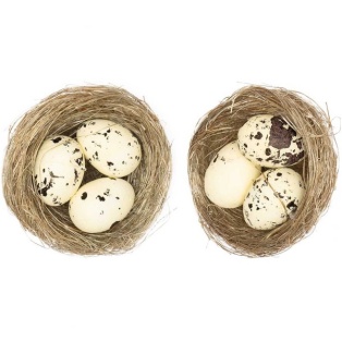 NATRUAL NEST W.EGGS,CREAM,2PCS