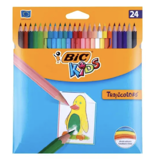 26343-bic24.png