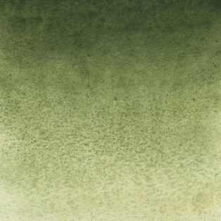Akvarellvärv Valged ööd küvett 2,5ml/ 730 roheline maa