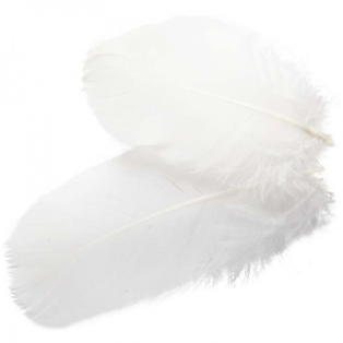 Feathers, l-8cm,3g/ Goose feathers