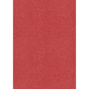 Coloured card A4 red 220gr