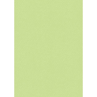 Coloured card A4 l.green 220gr