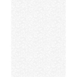 Transparent Paper Roma 50 x 70 cm white