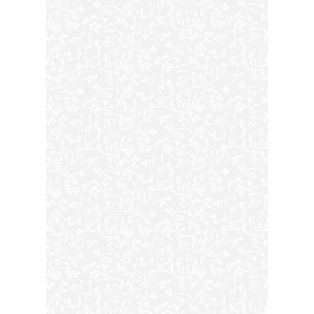 Läbipaistev paber motiividega 50x70cm Roma valge