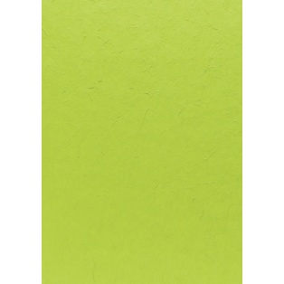 Handmade Mulberry Paper 55 x 40 cm grass green