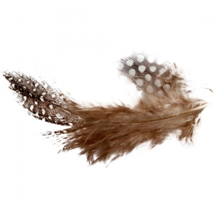 Feathers, 100 pcs,3g/ Guineafowl feathers