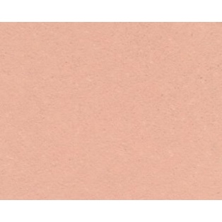 Style Matt 120ml/ 9033 salmon pink