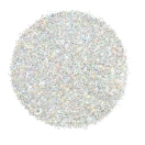 Glitterpuru 3gr/ holograafiline hõbe