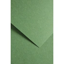 Dekoratiivpaber A4 220g, 5tk/ Earth green 