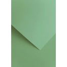 Dekoratiivpaber A4 220g, 5tk/ Savanna salvei