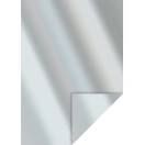 Kartong A4 300gr, läikiv hõbedane 1tk