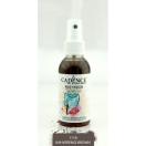 Spray Fabric Paint 100ml/ Brown