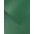 Decorative Paper A4, 220g, 5p / Mika Green