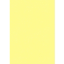 Coloured card A4 lemon 220gr