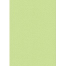 Coloured card A4 l.green 220gr