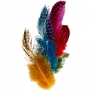 Feathers, 100 pcs,3g/ Guineafowl feathers