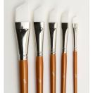 Artist Brush Set (5x angular)