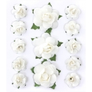 Paper Roses 13pcs, white