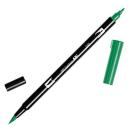 Calligraphy marker Tombow double nib, sap green