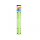 Plastic Ruler 20cm Flexi