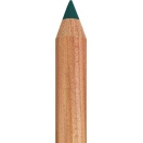 Pastel Pencil Faber-Castell Pitt Pastel 159 Hooker green