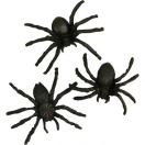 Spiders 41m/ 20pc