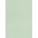 Glitter Card A4 iridescent light green