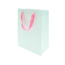 Gift Bag 18x26x12cm Mint
