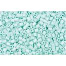 Iron-on beads, mint 5mm, ca. 1000pcs