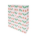 Gift bag 26x32x12cm