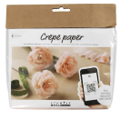 Mini Craft Kit Crepe paper
