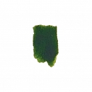 ART Master watercolour moss green 1/2 pans