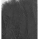 Feathers marabou, 15pcs/ black