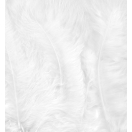Feathers marabou, 15pcs/ white