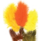 Feathers marabou, guine fowl, 6x3pcs/ mix