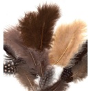 Feathers marabou, guine fowl, 6x3pcs/ mix