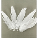 Feathers, 15pcs/ white