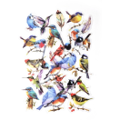 Sticker Birds 40pcs