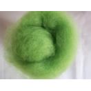 Felting wool 15g light green