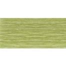 Florist crepe 25x250cm/ reed green