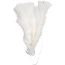 Feathers 11-17cm, white