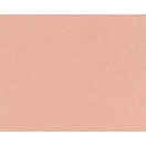 Akrüülvärv Style Matt 120ml/ 9033 salmon pink